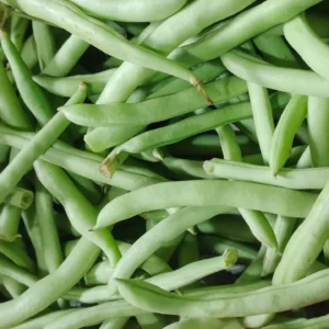 ONLINE GROCERY KOCHI-BEANS