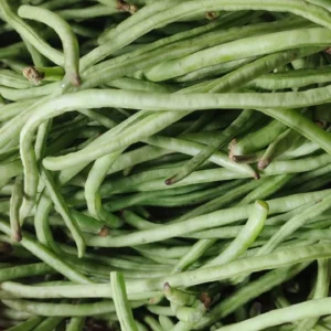 ONLINE GROCERY KOCHI-LONG BEANS