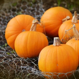 ONLINE GROCERY KOCHI-PUMPKIN